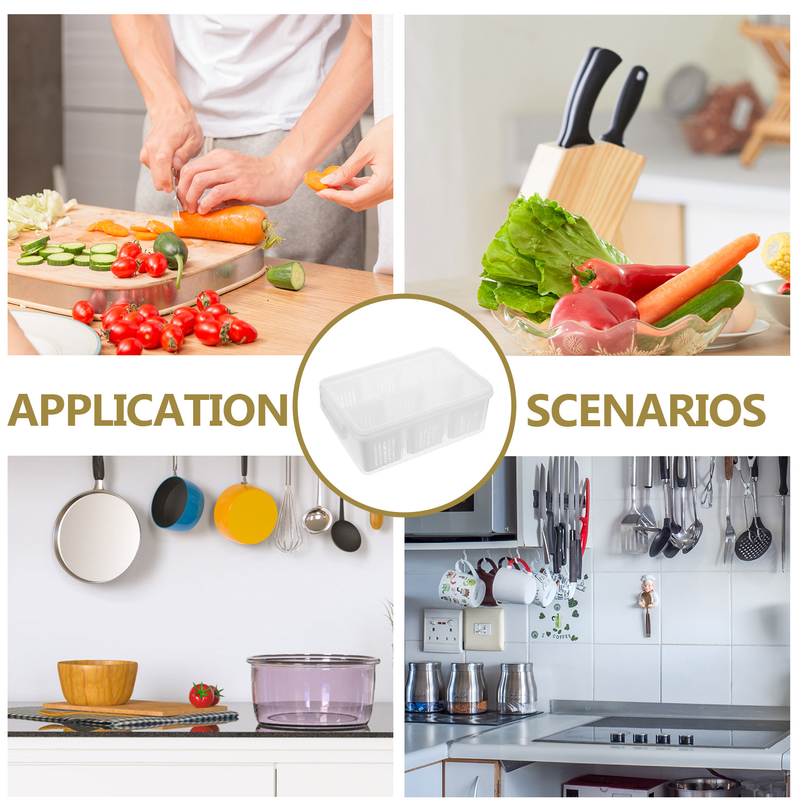 6-Fach Mahlzeiten-Vorbereitung – Meal Prep Freezer Bewertung und Preis